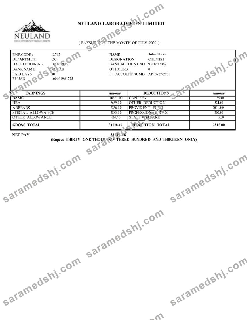 INDIA NEULAND Laboratories Limited in Word and PDF formats